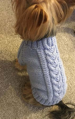 Ravelry Dog Sweater Pattern By Dotty Patterns