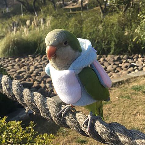 Parrot Bird Clothes Thick Warm Jacketcartoon Flight Etsy