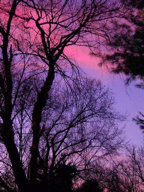 Pink And Purple Sunset By Starlitdragon24 Purple Sunset