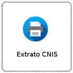 Extrato Cnis Veja O Passo A Passo Completo Para Consultar O Seu