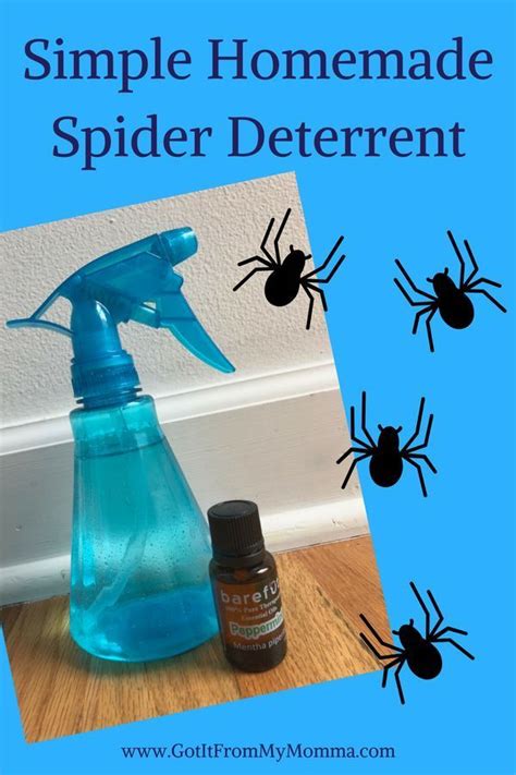Simple Homemade Spider Deterrent Spider Spray Diy Spiders Repellent