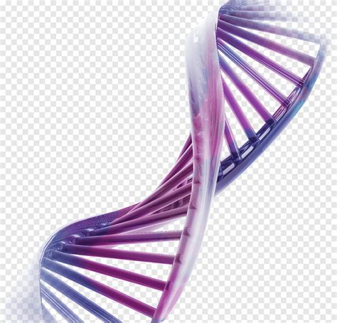 Purple And Pink Dna Recombinant Dna Desktop Genetics Chromosome Dna