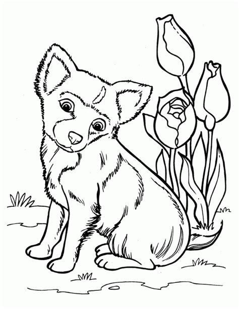 Dog coloring pages depict various types of dogs which makes filling them up with diversified colors an interesting experience. Husky Puppy Coloring Pages - Coloring Home