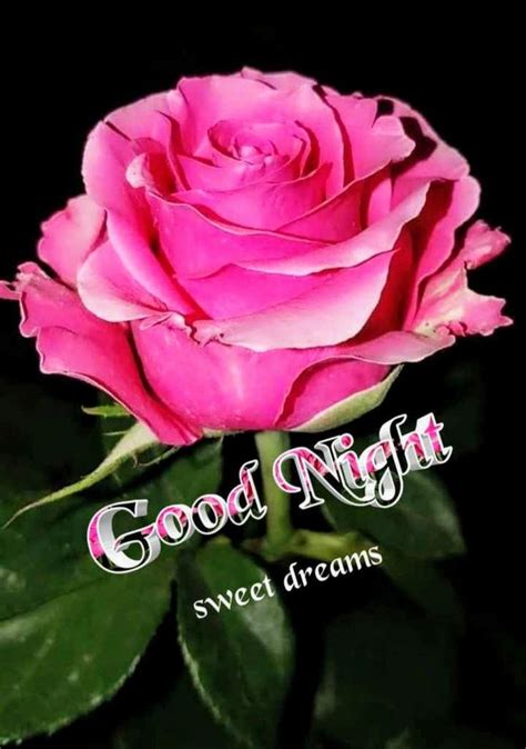 good night good night flowers good night sweet dreams romantic good night