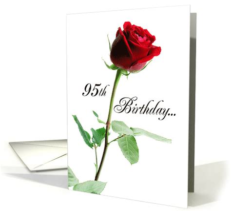 Check out our 95th birthday cards selection for the very best in unique or custom, handmade pieces from our birthday cards shops. 95th Birthday Red Rose, Flower card (265273)