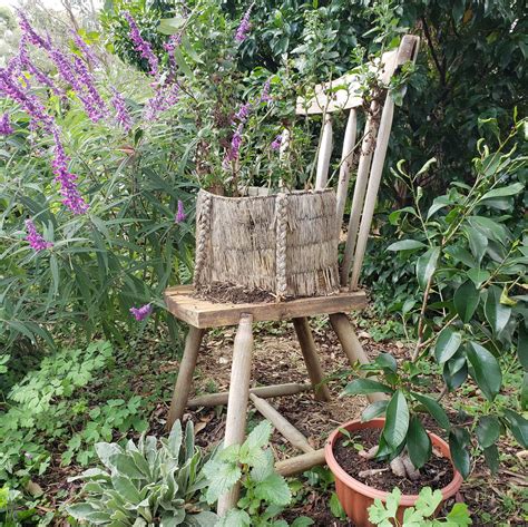 Easy And Free Upcycle Garden Ideas From The Botanical Gardens Tiara Tribe