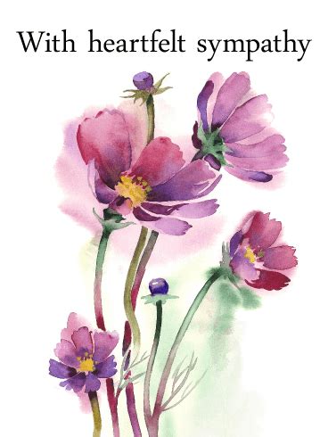 For some pink flowers are the most romantic color because they are not as intense as deep reds and therefore express a deeper spectrum of love's possibilities. Purple Flower Sympathy Card | Birthday & Greeting Cards by ...