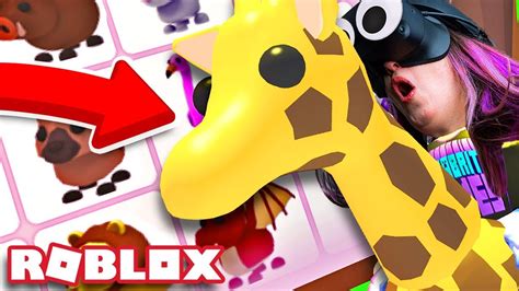 The giraffe was added to the game with the other safari egg pets on july 5, 2019. Getting EVERY SAFARI PET and RIDING THE GIRAFFE in VR ...