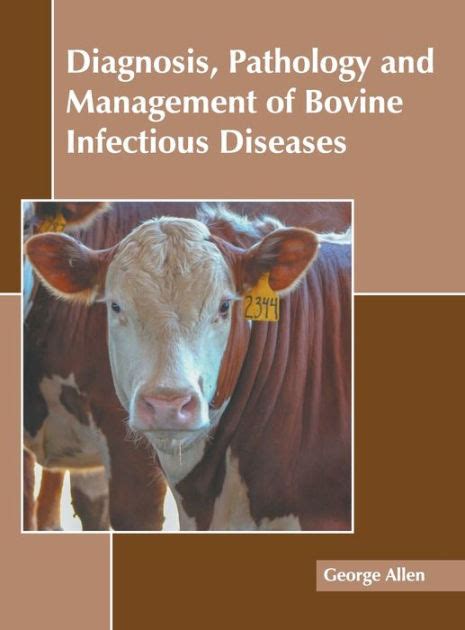 Diagnosis Pathology And Management Of Bovine Infectious Diseases By