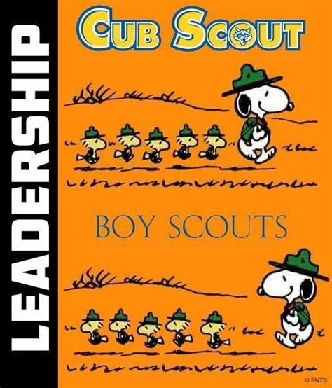 Pin On Cub Scout Outdoor Fun