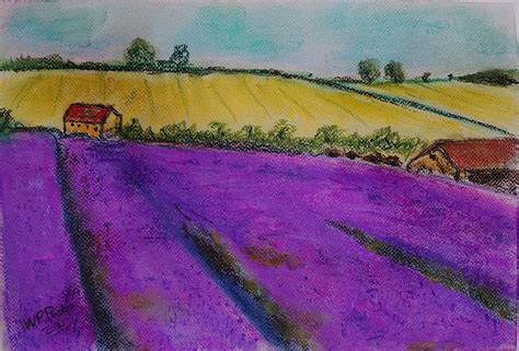 Lavender Field In Soft Pastels Wendy Parkers Art Gallery