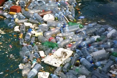 How Many Plastic Bottles Are Wasted Every Day Metro News