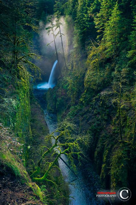 10 Majestic Waterfalls In Oregon You Need To Check Out This Year Oregon