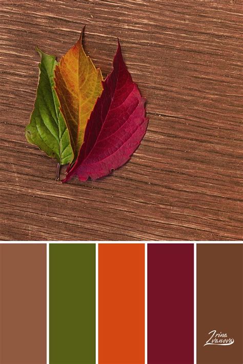 Color Palette Combinations Design Seeds Color Palette
