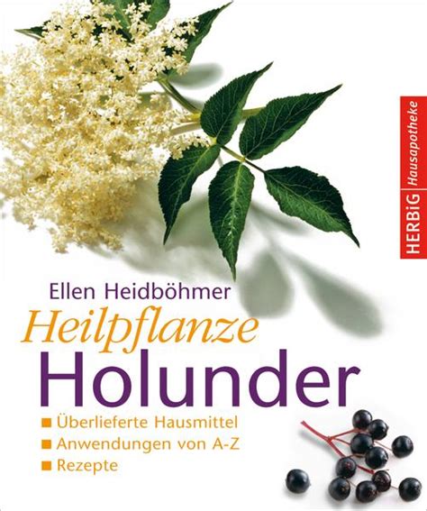 Produktdetails Buch Heilpflanze Holunder Buchverlage Langen Müller