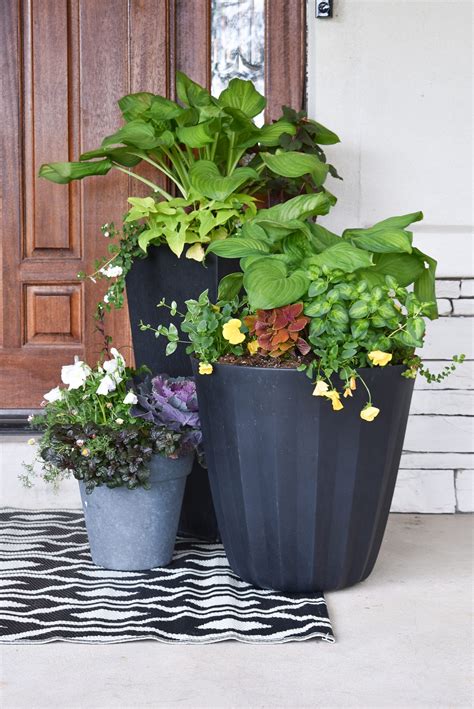 Simple Summer Planter Pot Ideas For Shade Home With Holliday