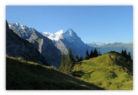 Schweiz Grindelwald Grosse Scheidegg Mönchs Und Eigerblick