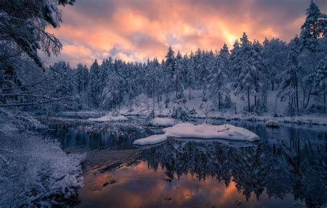 Wallpaper Winter Forest Snow Trees Sunset Reflection River