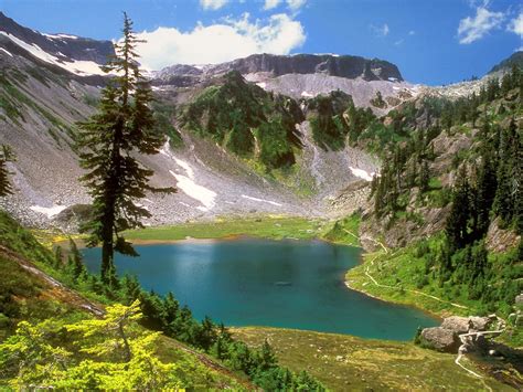 Mountain Landscape With Trees And A Lake Wallpapers And Images Wallpapers Pictures Photos