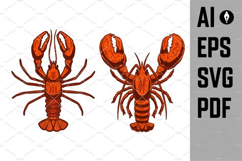 Set Of Illustrations Of Lobsters Photoshop Graphics ~ Creative Market