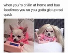 62 Adorable Dog Memes That Will Make You Laugh All Damn Day | Thought ...