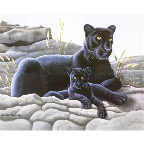 Decorative Tiles With Big Cats Black Panther And Cub Tile Mural