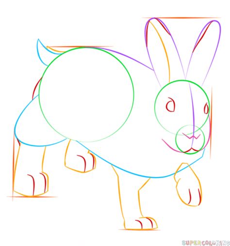 How To Draw A Showshoe Hare Step By Step Drawing Tutorials
