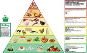 Pictured here, this image has evolved from the u.s. New Food Pyramid for Kidney Disease Patients