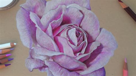 Drawing A Realistic Rose Colored Pencils Youtube