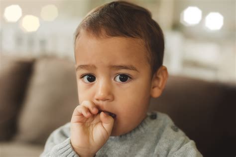 Qué Hacer Si Tus Hijos Se Chupan El Dedo