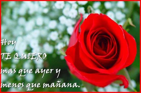 Poemas De Amor Con Flores Parte 1 ImÁgenes Para Whatsapp Y Fotos
