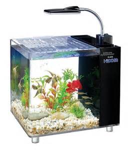 This aquarium comes with a built in filter in the back, including all 