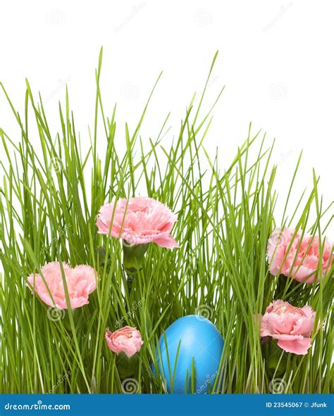 Easter Grass Stock Image Image Of Holiday Copyspace 23545067