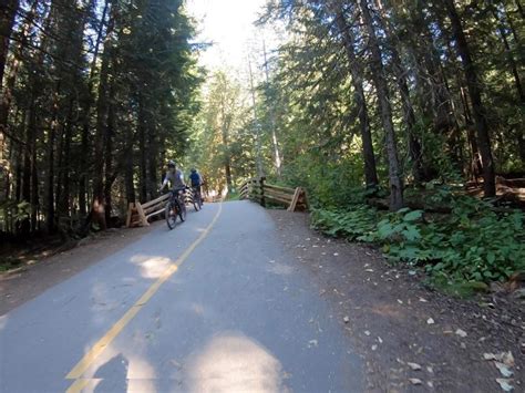 Whistler Valley Trail Forest Paved Dennis Tsang