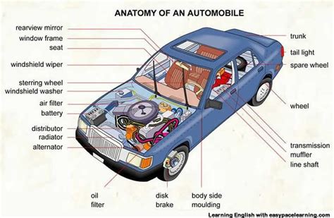 Basic Diagram Of Car Parts