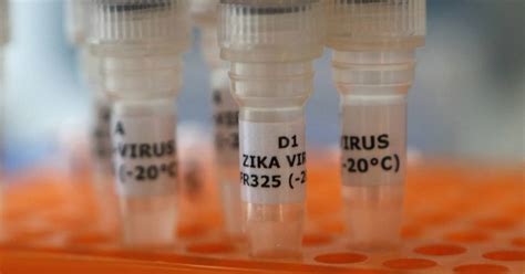 cdc reports 14 new cases of sexually transmitted zika in u s