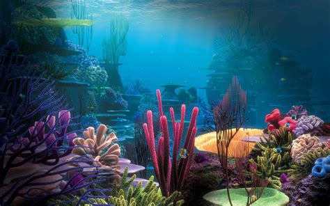 Underwater Paradise Wallpapers 4k Hd Underwater Paradise Backgrounds