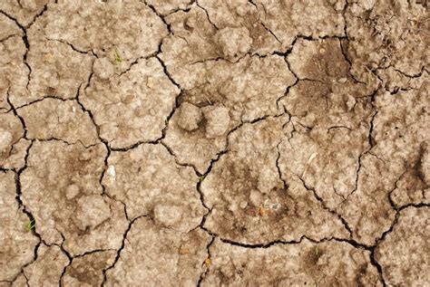 Dry Ground Stock Photo Image Of Infertile Dryness Drought 16454576