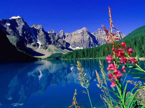 Landscape With Mountain Lake And Flowers Wallpapers Wallpaper Cave