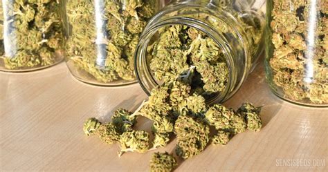 There'are some easy ways to know the resolution of your smart tv. How Do I Know If My Cannabis Is Contaminated?