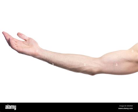 Extended Male Arm With Open Palm Isolated On White Background Stock