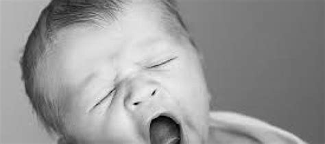 Why Is Yawning Contagious Yale Scientific Magazine
