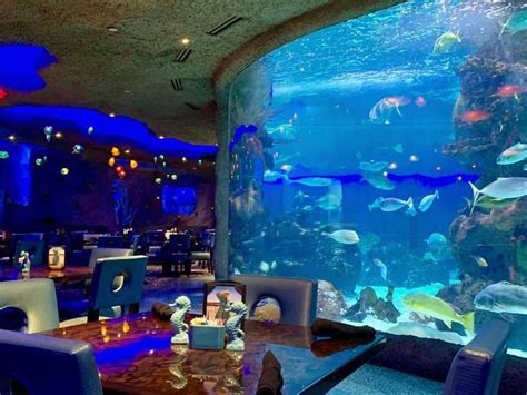 Underwater Restaurants Around The World Business Insider Underwater