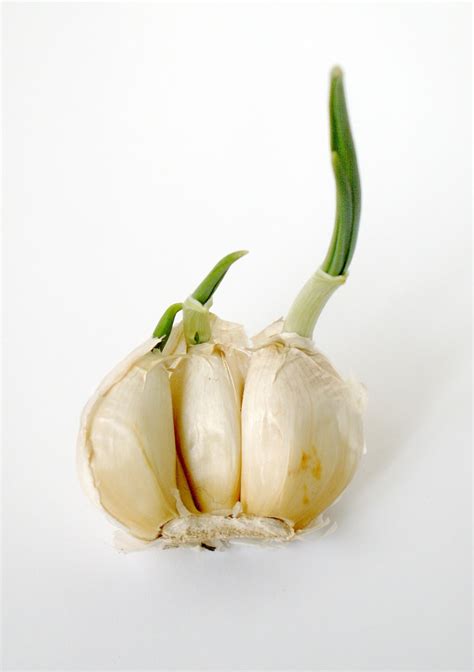 Wallpaper: Amazing Health Benefit of Garlic
