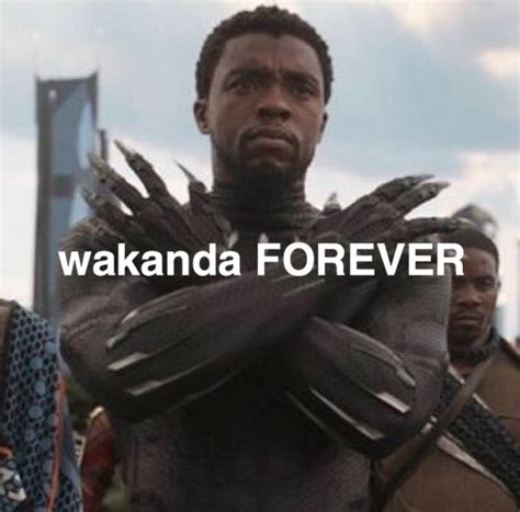 Wakanda Forever Memes Gambaran