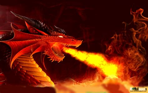 3d Fire Dragon Wallpaper