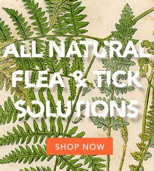 All pet stores in tampa. All Natural Flea and Tick Solutions for your dogs and cats. Feed Pet Purveyor - Tampa, Florida ...
