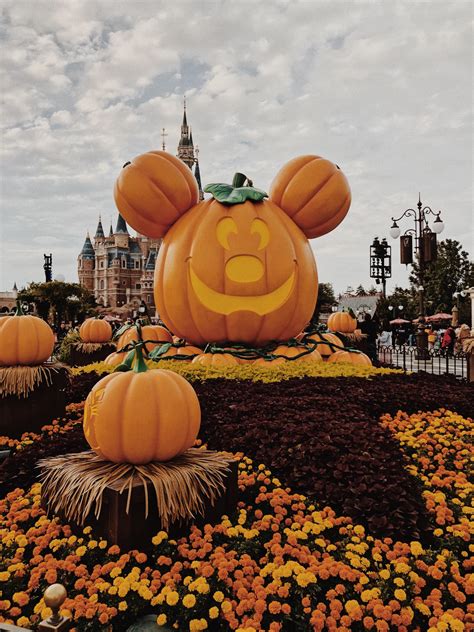 HALLOWEEN AT DISNEY - Where in the world is Kim?