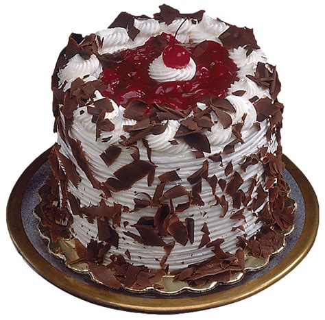 Chocolate Cake Png Image Purepng Free Transparent Cc0 Png Image Library