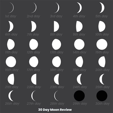 30 Day Moon Review Moon Phases Astronomy Icon Set Vector Illustration